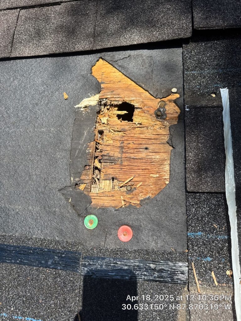 Roof companies near me