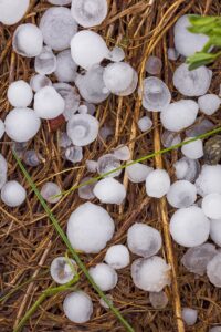 Hail Damage: A Threat to Peace