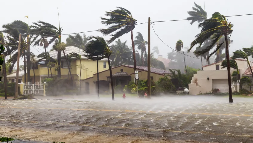 Hurricane Checklist